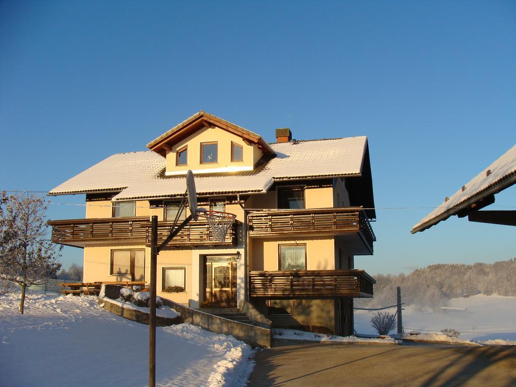 Apartment Vrtacnik Stefanja Gora Exterior photo